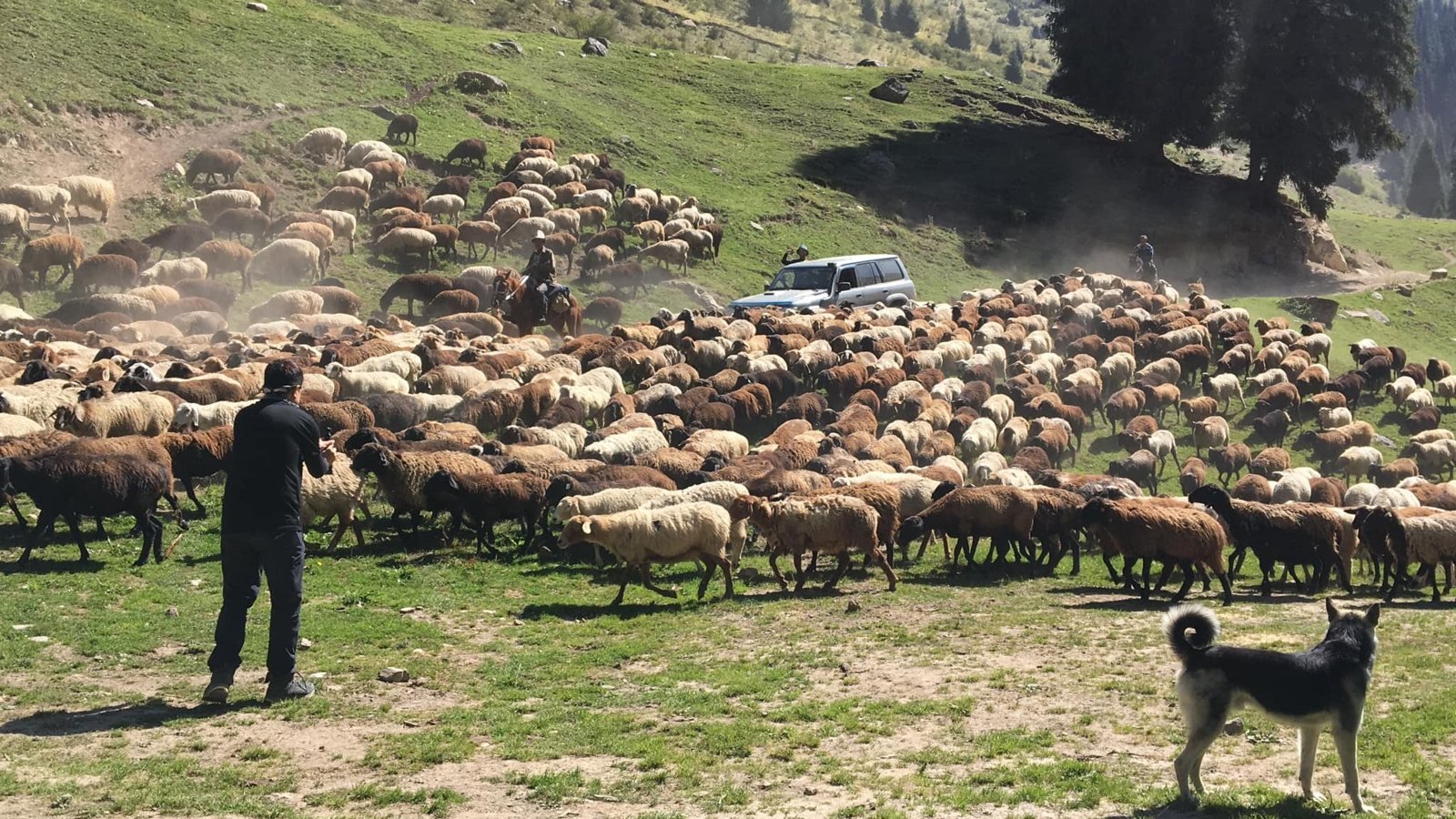 Filming the shepherds, Kyrgyzstan