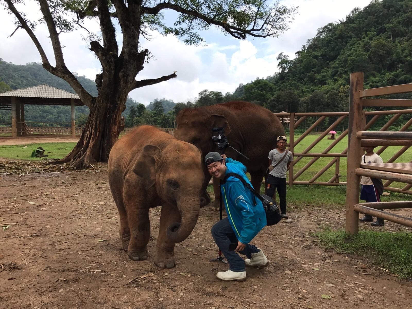 On location with the elephants, Thailand