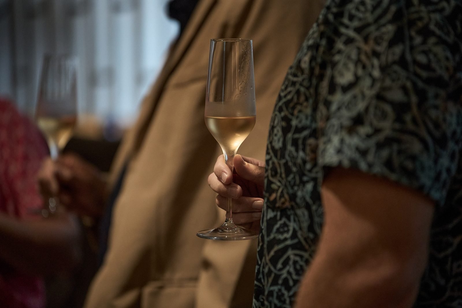 Champagne, in passing · Diplomatic & VIP Events Champagne, in passing